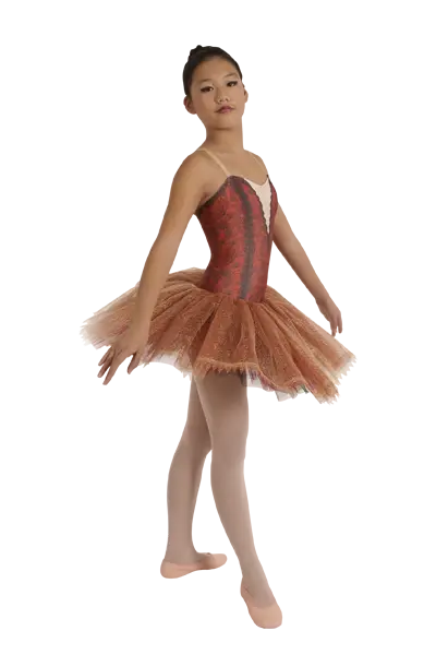 Tutú Lycra TU0154LC2